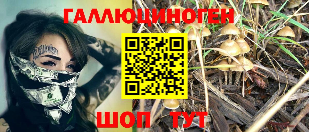Псилоцибиновые грибы MAGIC MUSHROOMS Боровичи
