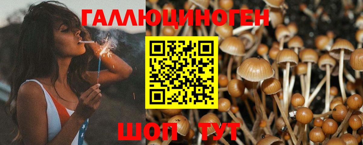 Псилоцибиновые грибы ЛСД  Псилоцибиновые грибы Magic Shrooms  Боровичи  Вход с VPN 